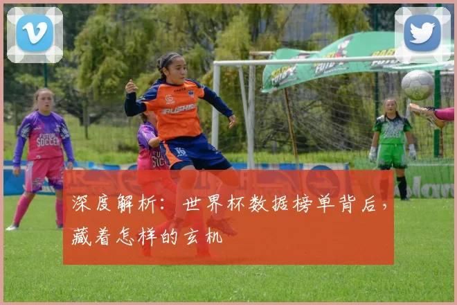 深度解析:世界杯数据榜单背后,藏着怎样的玄机