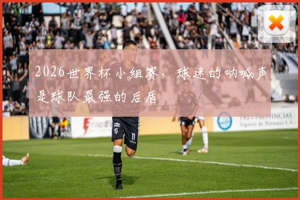2026世界杯小组赛,球迷的呐喊声是球队最强的后盾