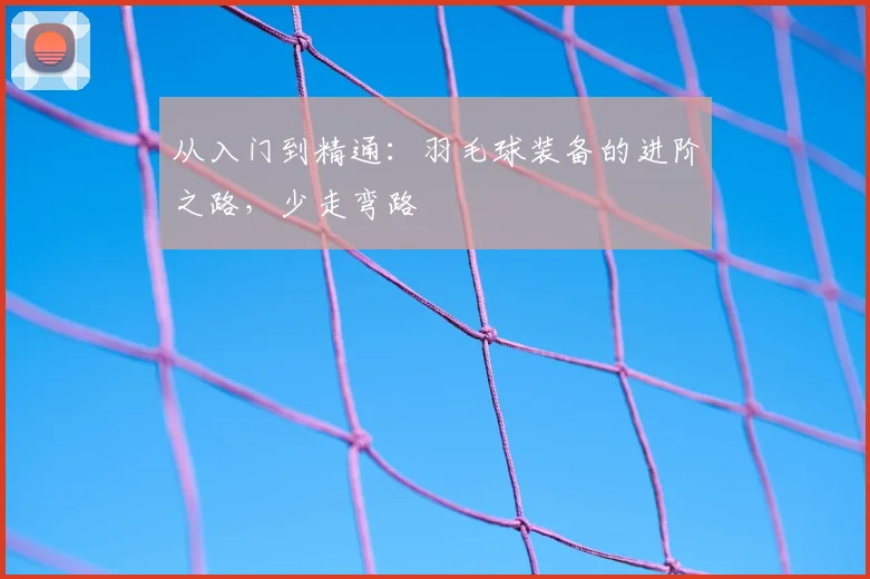 从入门到精通:羽毛球装备的进阶之路,少走弯路